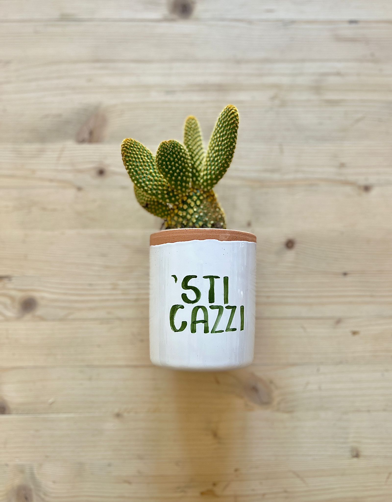 Vaso Sti Cazzi